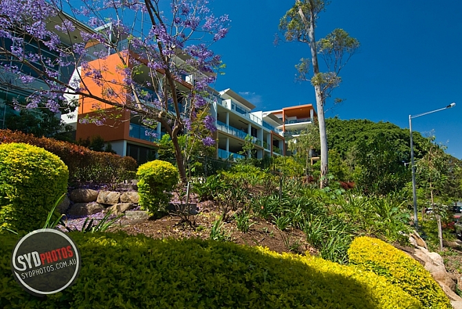 Photographers Portfolios