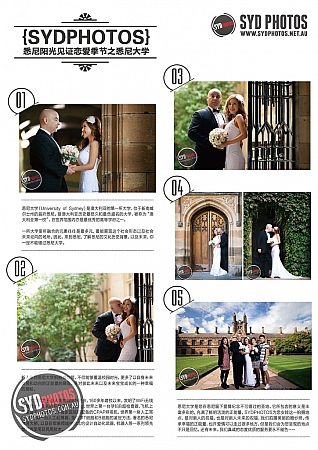 Photographers Portfolios