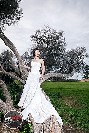 Photographers Portfolios