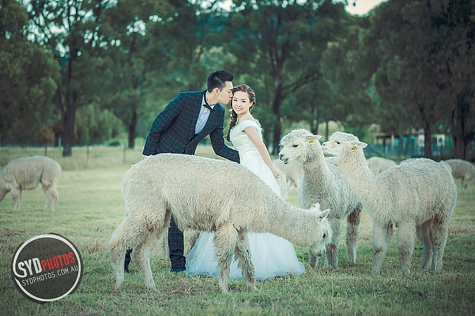 Best Pre Wedding Photography Sydney | Pre Wedding Photoshoot Sydney