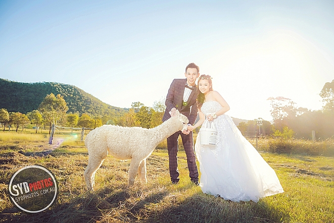 Best Pre Wedding Photography Sydney | Pre Wedding Photoshoot Sydney